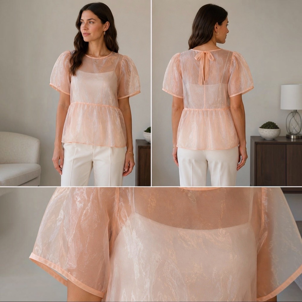 NWT Anthropologie Sunday in Brooklyn Sheer Organza Peplum Blouse XL Blush